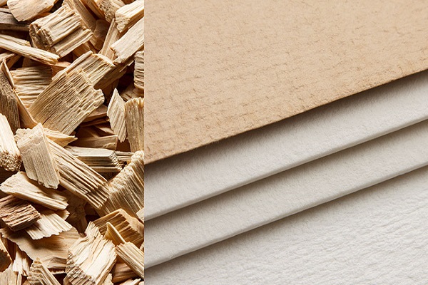 Wood and Paper